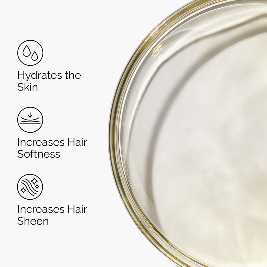 100% Organic Cold-Pressed Moroccan Argan Oil - US 5778