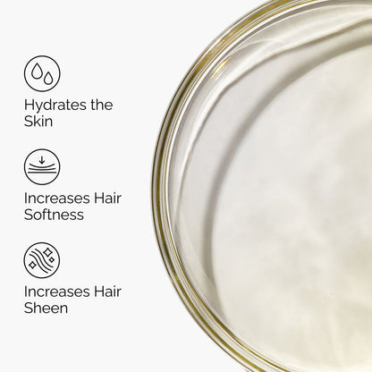 100% Organic Cold-Pressed Moroccan Argan Oil - US 5778