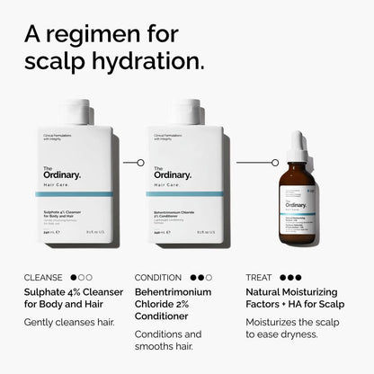 Natural Moisturizing Factors + HA for Scalp - US 1043
