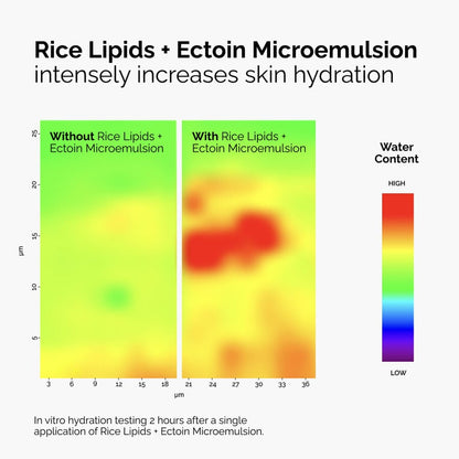 Rice Lipids + Ectoin Microemulsion - US 2241
